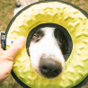 Dog Pull Toy - War Loop - Yellow - 21x5,2,5cm Dog Pull Toy - War Loop - Yellow - 21x5,2,5cm