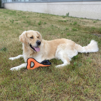Jouet à tirer pour chiens - War Tresse - orange - 31x15,5x15cm