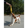 Brinquedo de corda para cães - Tug Life - amarelo - 52cm Brinquedo de corda para cães - Tug Life - amarelo - 52cm