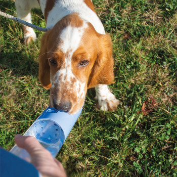 Green Travel Water Bottle 450ml