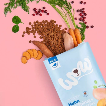 Adulto Frango 1kg - Ração para cães - Wow