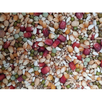 Aidi Girl Power 20kg - Sports mix for female pigeons