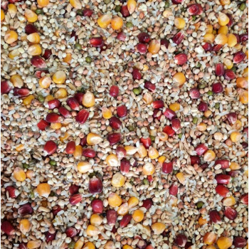 Aidi Girl Power 20kg - Sports mix for female pigeons