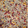 Aidi Girl Power 20kg - Sports mix for female pigeons