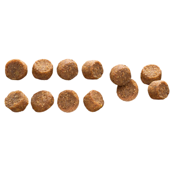 Adult Medium Chicken & Rice 12kg - Croquettes pour chien de taille moyenne - Euro Premium