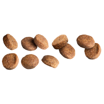 Adulto Grande Pollo y Arroz 3kg - Croquetas para perros de gran tamaño - Euro Premium