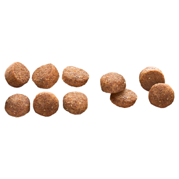 Adult Light 12kg - Ração para cães de todos os tamanhos - Euro Premium