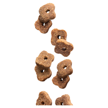 Senior Chicken & Rice 12kg - Crocchette per cani anziani - Euro Premium