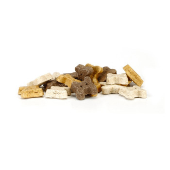 Mix di piccoli biscotti per cuccioli 1400g - Beeztees