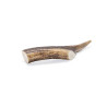 Antler - Medium - 1 piece