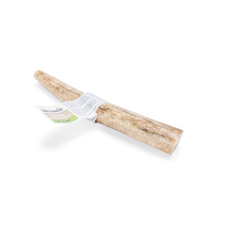 Hertengewei - Medium - 1 stuk Hertengewei - Medium - 1 stuk