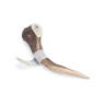 Antler - Large - 1 piece