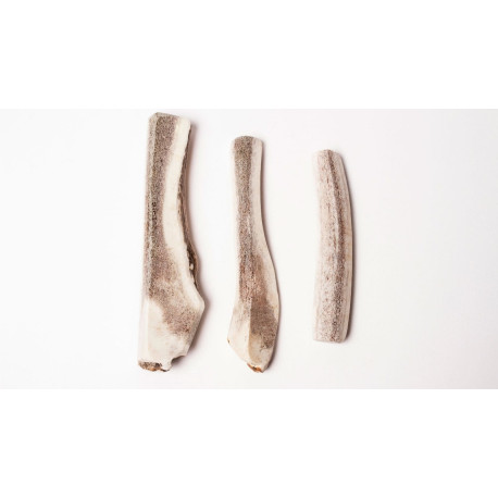 Bois de cerf coupé - Medium - 1 pièce Bois de cerf coupé - Medium - 1 pièce