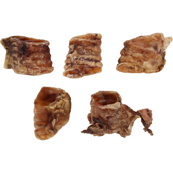 Beef trachea 100g - 5/6 cm