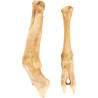Hedgehog mushroom 200g