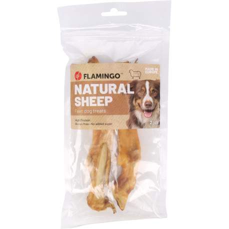 Hedgehog mushroom 200g