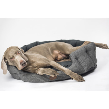 Bequemes ovales graues Bett - Josi - 65 x 57 x 22 cm