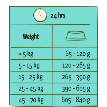 Adulto con salmón 12,5kg - Happy Life - Promo